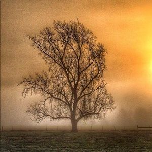 Beautiful canvas prints 8 x 8 wonderful gifts